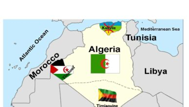 هل ستعترف جنوب أفريقيا بمطالب حركة الماك الإرهابية..أقلام مأجورة ومقالات تحت الطلب تحمل بصمة  محور الشر