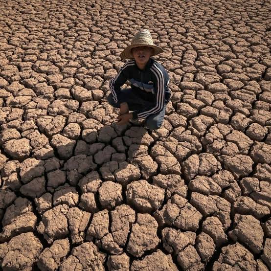 سنوات عجاف.. الجفاف يفتك بالموسم الزراعي في المغرب