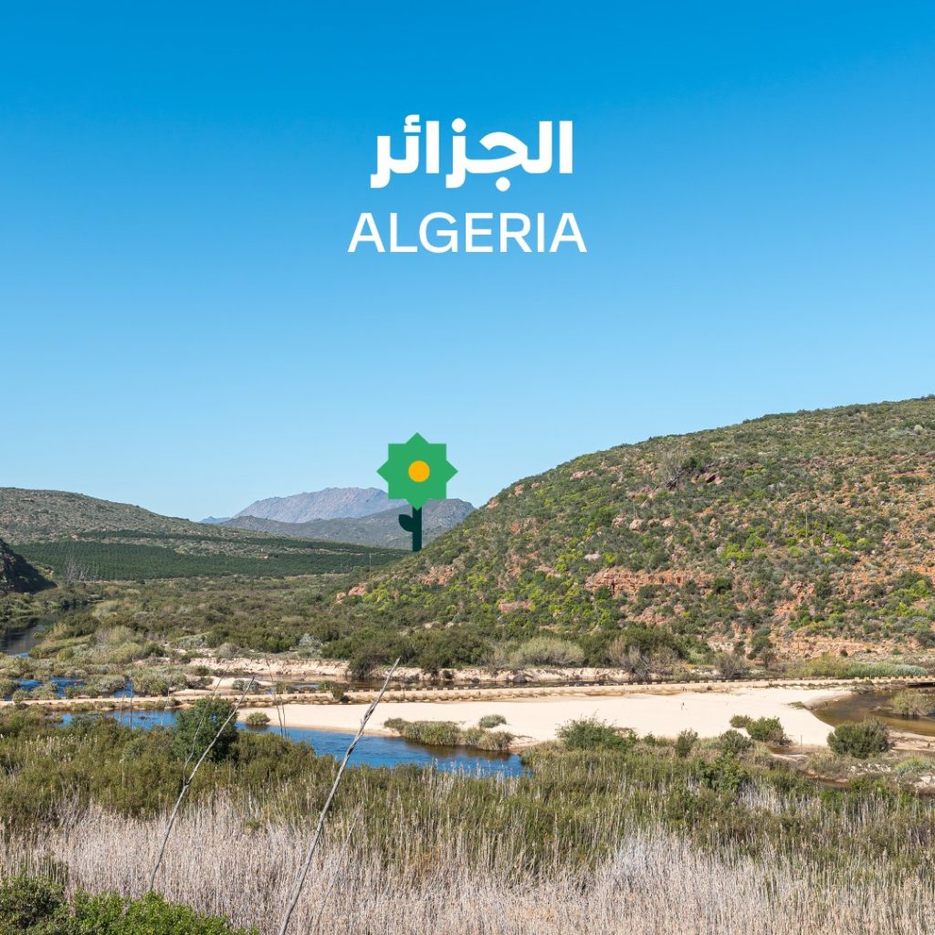 تلفزيون قطر الرسمي يبث تقريرا استثنائيا حول المنتجات الزراعية الجزائرية