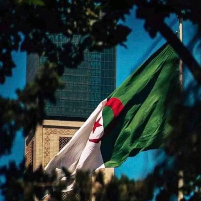 أول صلاة جمعة في جامع الجزائر..وصلاة التراويح في شهر رمضان ستكون “وفق رواية ورش عن الإمام نافع