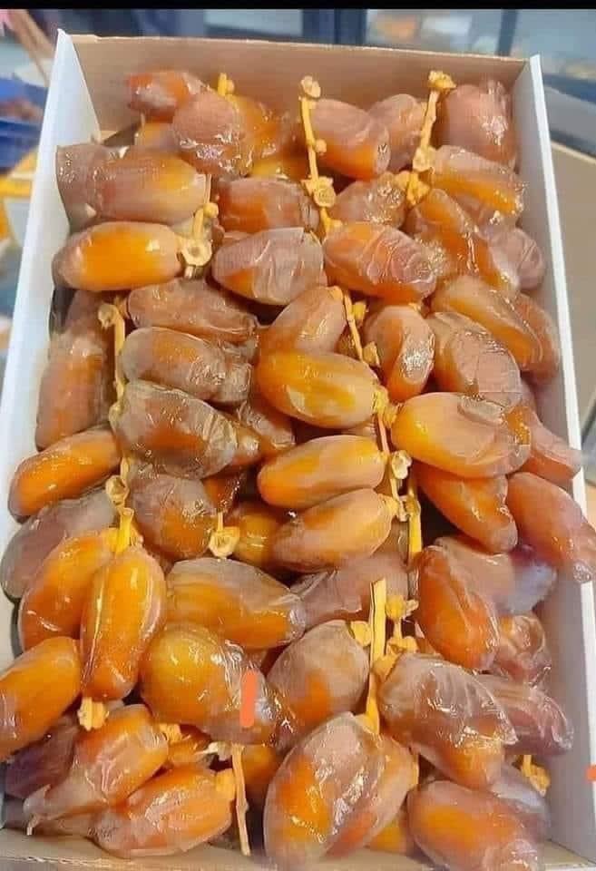 الذباب المخزني يطلق حملات لتشويه التمور الجزائرية ،،والتمر الإسرائيلي على موائد المغاربة في رمضان