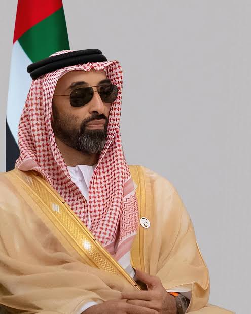 طحنون بن زايد ينهب الموارد المعدنية الأفريقية..ما القصة ؟