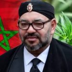 تقرير أممي يورط المغرب في رعاية تجارة المخدرات