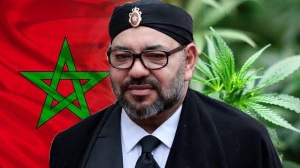 تقرير أممي يورط المغرب في رعاية تجارة المخدرات
