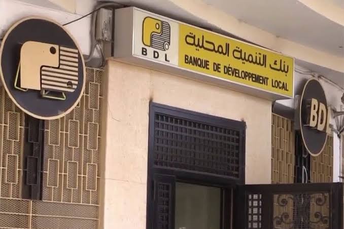بنك التنمية المحلية يعتزم إطلاق خدمة الدفع الإلكتروني على المستوى الدولي