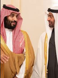 ما سر استمرار القطيعة بين محمد بن سلمان وشيطان العرب ؟