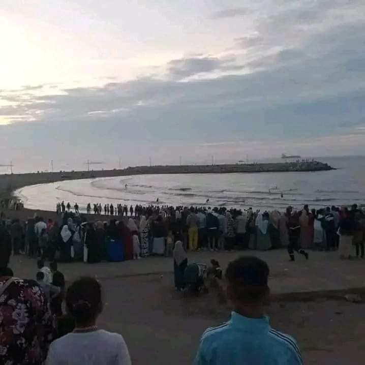 رحلة مدرسية  في الجزائر تتحول إلى مأساة ..وفاة 5 أطفال واثنان في الإنعاش بمنتجع الصابلات