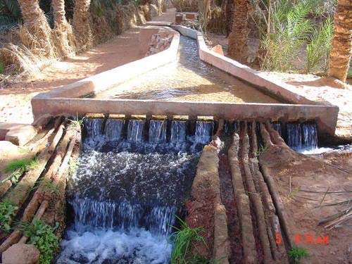 هكذا أحبطت الجزائر محاولة مغربية للسطو على الفقارة الجزائرية
