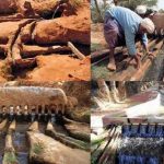 هكذا أحبطت الجزائر محاولة مغربية للسطو على الفقارة الجزائرية