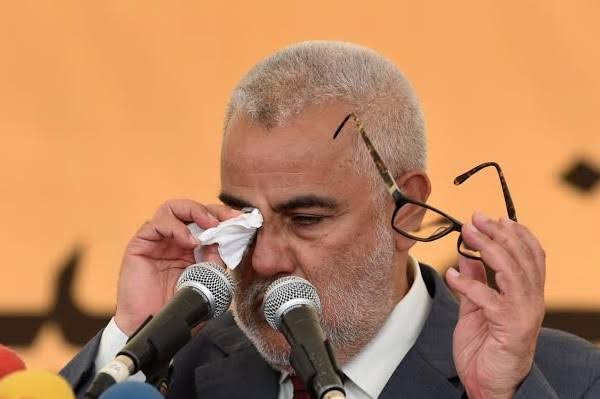 المغرب يعود ذليلاً صاغراً طالبا العفو والسماح من الجزائر..!