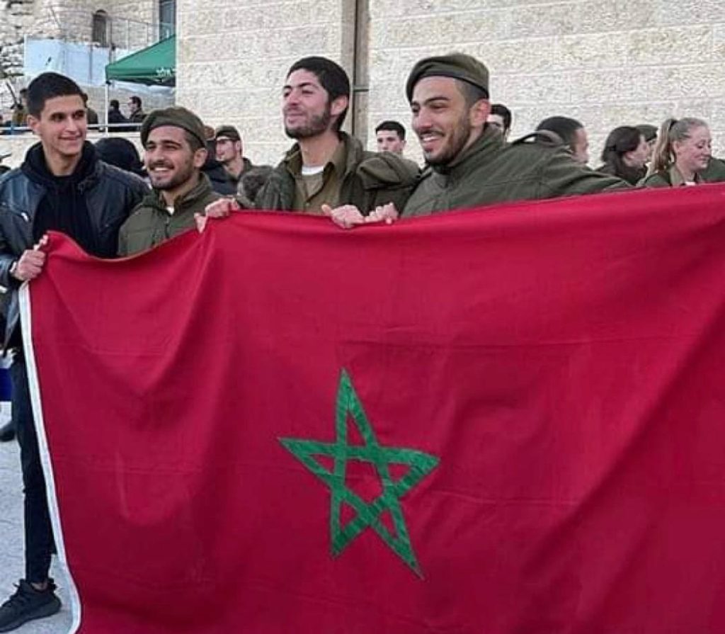الذباب المغربي يقع في مصيدة “الفوتوشوب ” ..ما القصة ؟