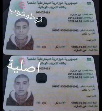 الذباب المغربي يقع في مصيدة “الفوتوشوب ” ..ما القصة ؟