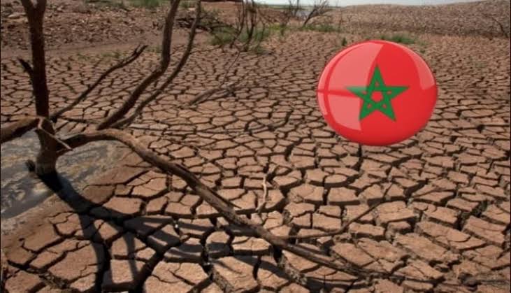 واردات المغرب من الحبوب تبلغ ذروتها مع تراجع الانتاج المحلي بفعل الجفاف