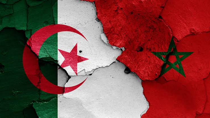 نظام المخزن المغربي  يستجدي”وساطة ” دول عربية مع الجزائر