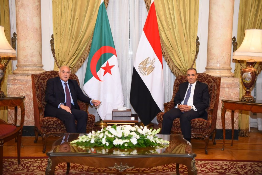 وزير الخارجية الجزائري يتباحث مع  نظرائه العرب