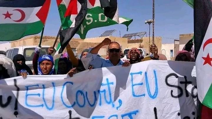 خسارة مدوية للمغرب “لا سيادة للمحتل على الصحراء الغربية”