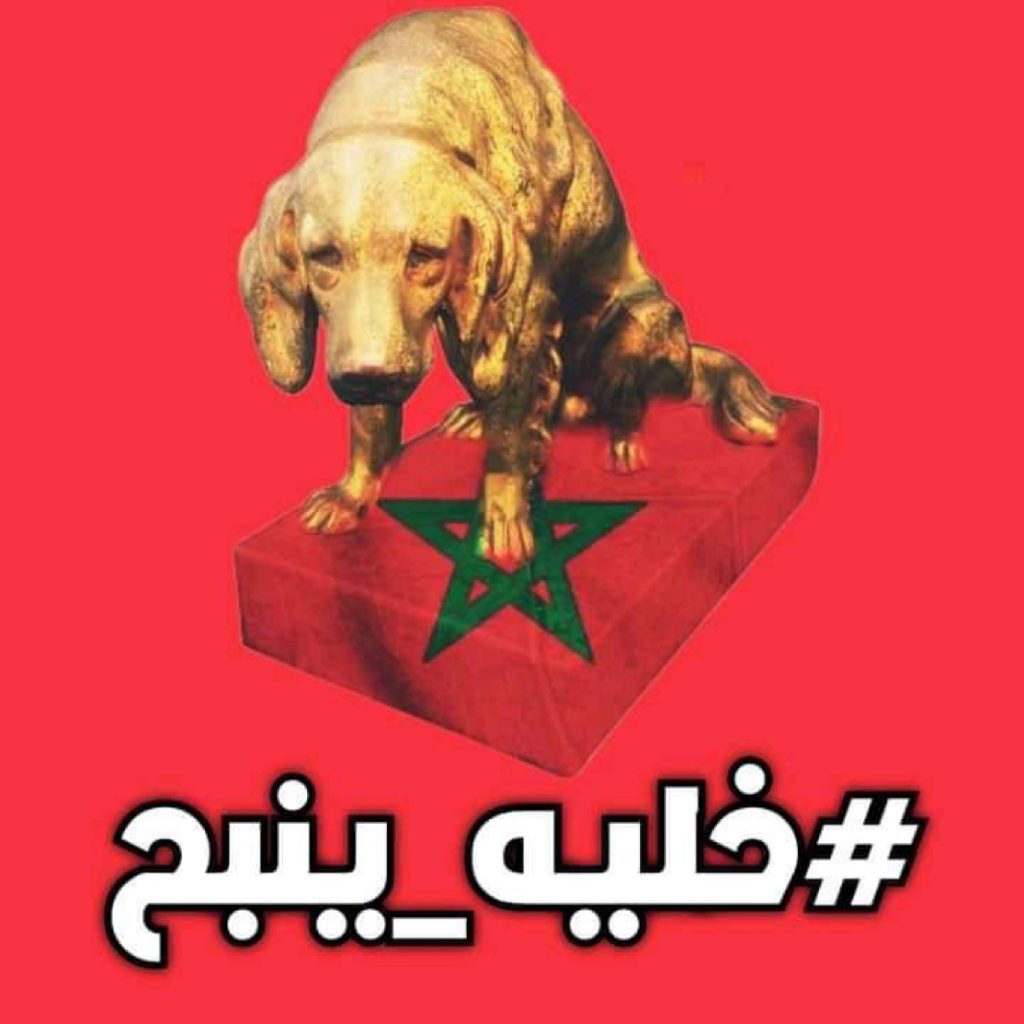 “مانيش راضي” صناعة مخابراتية مخزنية ” قذرة”