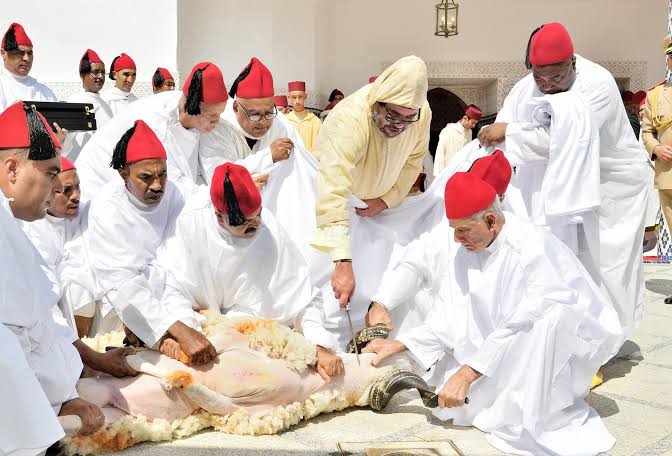محمد السادس يستبق ثورة شعبية بإلغاء شعيرة نحر الأضاحي خلال عيد الأضحى ..ما القصة ؟