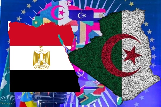 الاتحاد الأفريقي : مصر  تتنصل من تفاهمات مع الجزائر وتتراجع عن دعم المرشحة سلمى حدادي