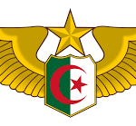 تحطم طائرة عسكرية جزائرية مقاتلة