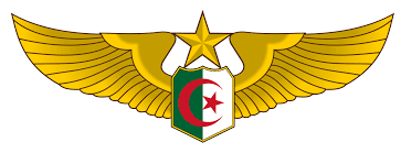 تحطم طائرة عسكرية جزائرية مقاتلة