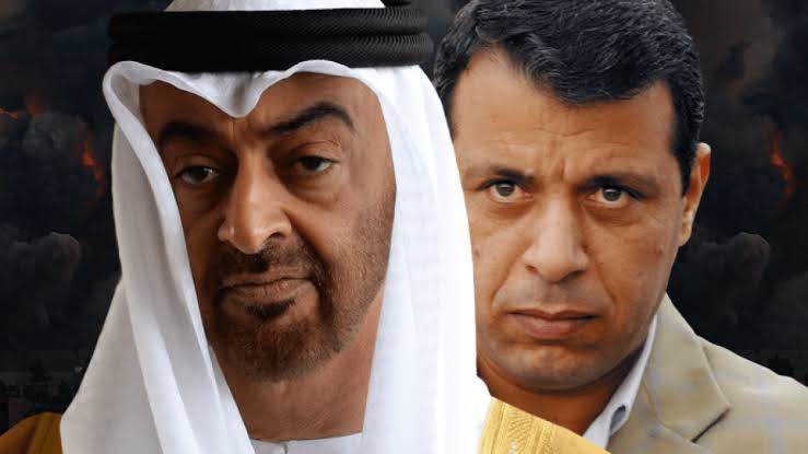 لوبي  الإمارات في أوروبا يطلق حملة تحريض ضد الجزائر والسودان وسوريا.