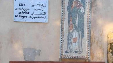 زيتونة القديس أوغستين بسوق أهراس الجزائرية ..محط أنظار العالم عقب انتخاب بابا الفاتيكان