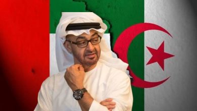 استثمارات الإمارات في الجزائر مجرد أوهام