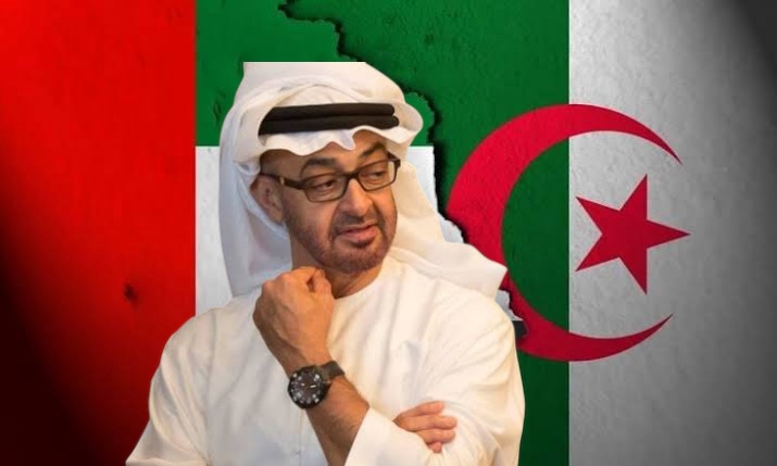 استثمارات الإمارات في الجزائر مجرد أوهام