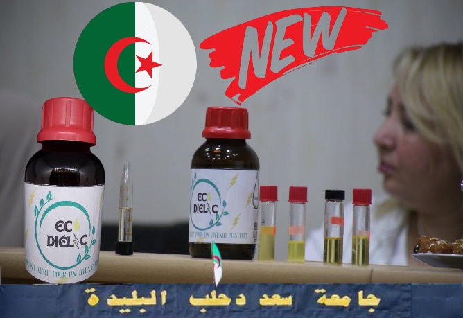 ثورة خضراء من الجزائر: باحثات يبتكرن مادة عازلة صديقة للبيئة من زيوت الطهي المستعملة