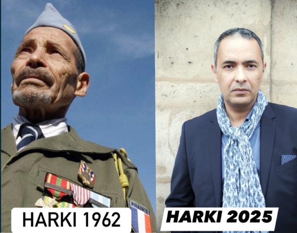 المرتزق كمال داود..الحركى يعودون