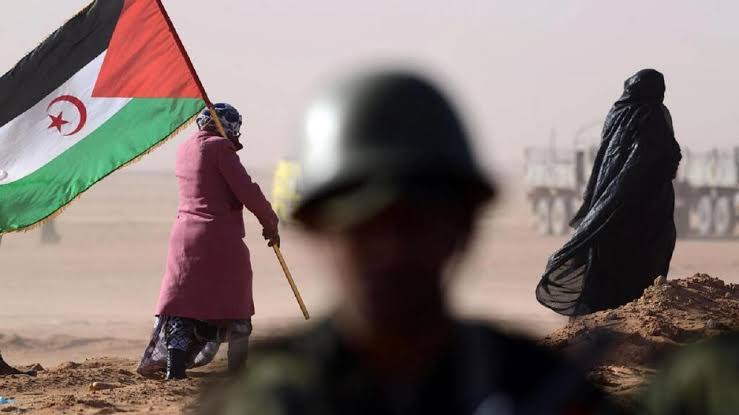 مجلة ألمانية: هكذا يحاول الاحتلال المغربي نهب ثروات الصحراء الغربية !