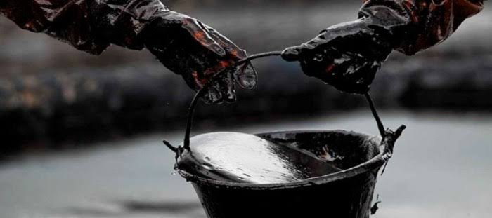 أسعار الذهب الأسود تواصل تراجعها