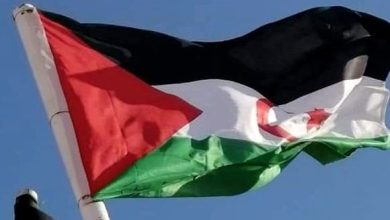 انتصار دبلوماسي جديد للقضية الصحراوية ..صفعة مدوية للمخزن المغربي في كمبالا