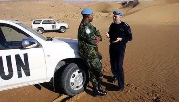 قضية الصحراء الغربية.. تحرك إيطالي يضع الاحتلال المغربي في مأزق