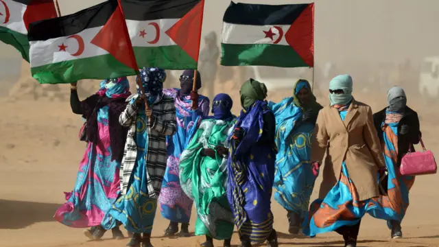 قضية الصحراء الغربية.. تحرك إيطالي يضع الاحتلال المغربي في مأزق