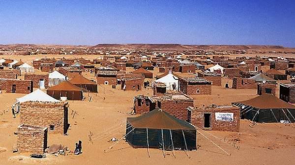 قضية الصحراء الغربية.. تحرك إيطالي يضع الاحتلال المغربي في مأزق