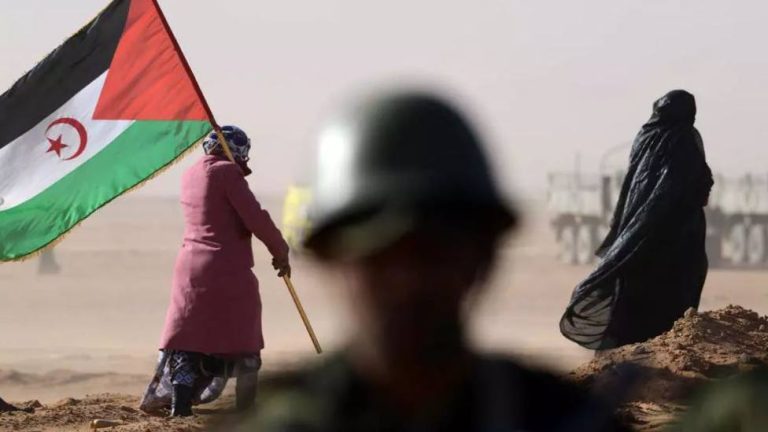 قضية الصحراء الغربية.. تحرك إيطالي يضع الاحتلال المغربي في مأزق