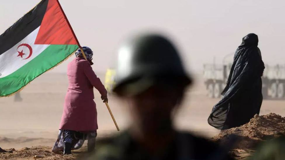 قضية الصحراء الغربية.. تحرك إيطالي يضع الاحتلال المغربي في مأزق