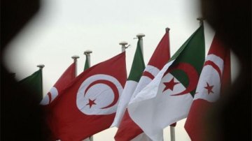 2.1 مليون جزائري اختاروا تونس كوجهة سياحية منذ جانفي 2025