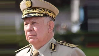 السعيد شنقريحة يشارك في فعاليات أكبر معرض دولي للدفاع بكوريا الجنوبية أديكس 2025
