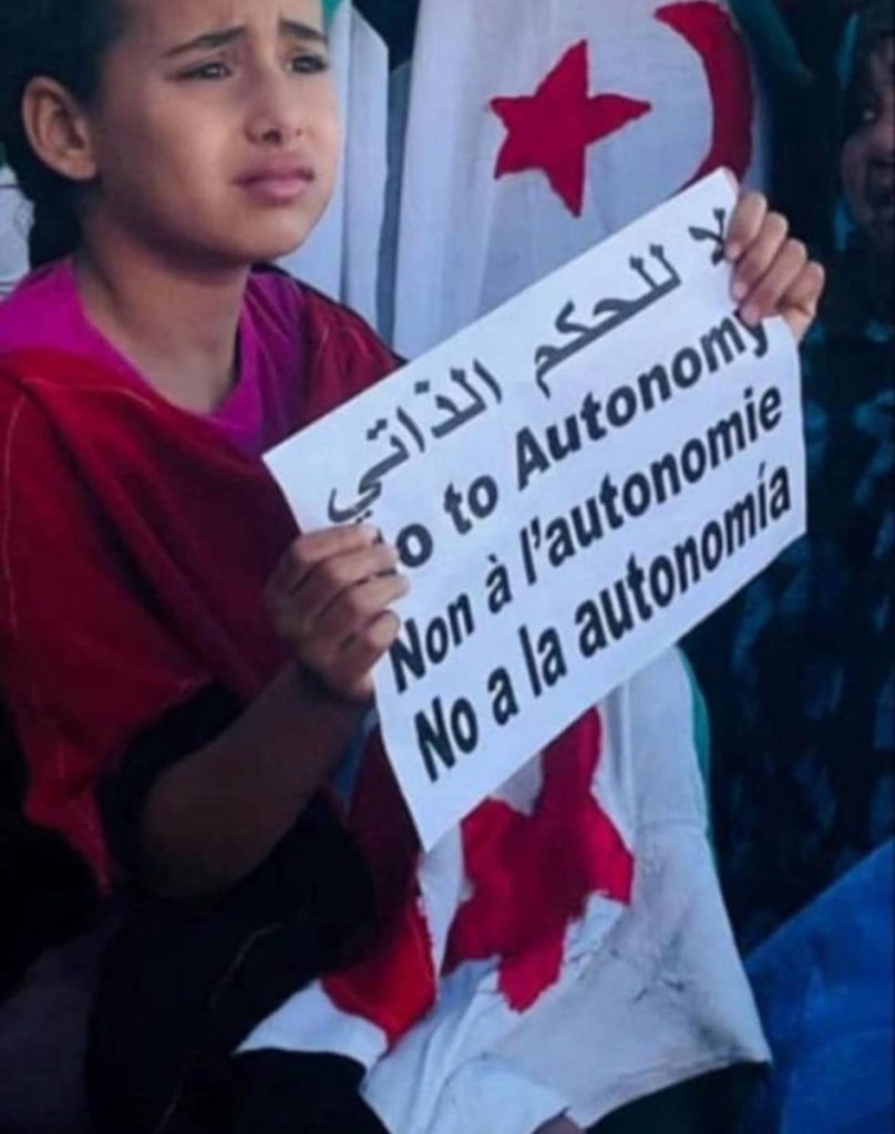 الصحراء الغربية: هاشتاق لا لخطة الحكم الذاتي يتصدر مواقع التواصل الاجتماعي
