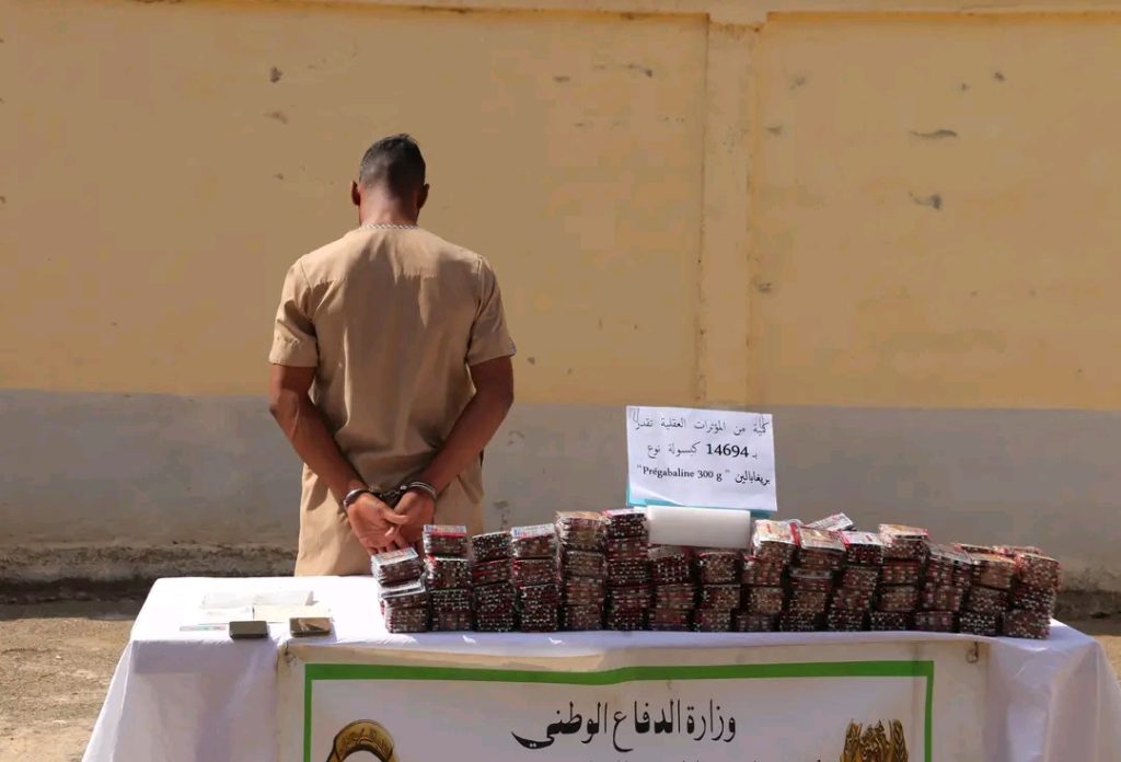 الجيش الجزائري: استسلام إرهابي ببرج باجي مختار
