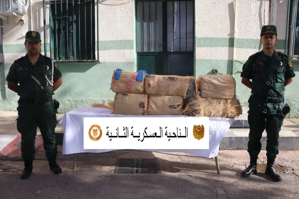 الجيش الجزائري ينجح في تفكيك خلية ارهابية ويواصل اجتثاث بارونات المخذرات