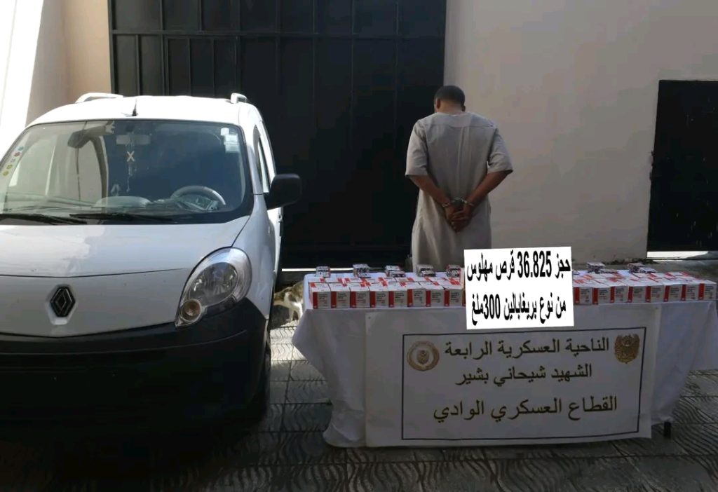 الجيش الجزائري: استسلام إرهابي ببرج باجي مختار