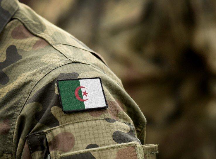 الجيش الجزائري ينجح في تفكيك خلية ارهابية ويواصل اجتثاث بارونات المخذرات