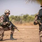إحباط محاولة اغراق الجزائر بأزيد من 7 قناطير كيف معالج قادمة من المغرب