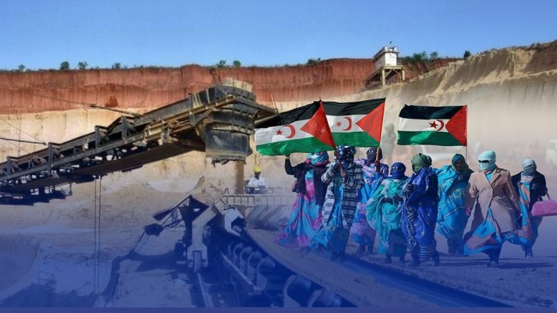 المرصد الصحراوي لمراقبة الثروات يندد بنهب المغرب لموارد الصحراويين الطبيعية ويرد على مجلس الأمن!