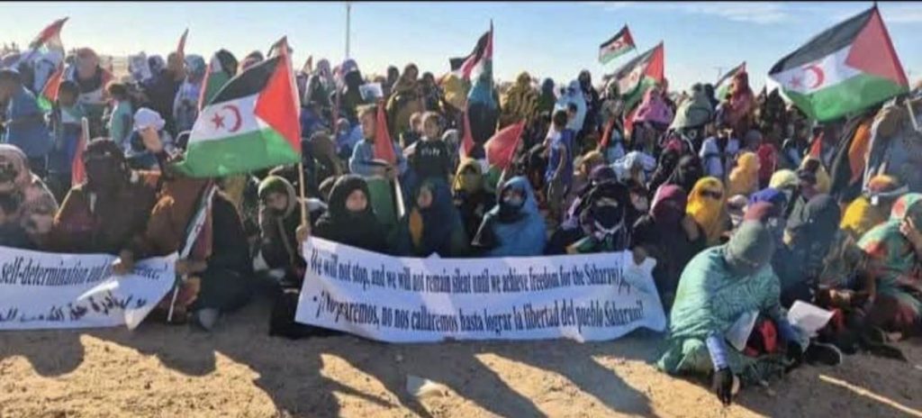 غالي: لا حل لنزاع الصحراء الغربية إلا بتمكين الشعب الصحراوي من تقرير المصير والاستقلال