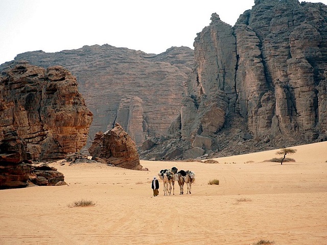 موجة حر غير مسبوقة تجتاح الجزائر